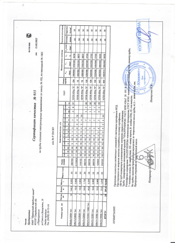 сертификат.jpg